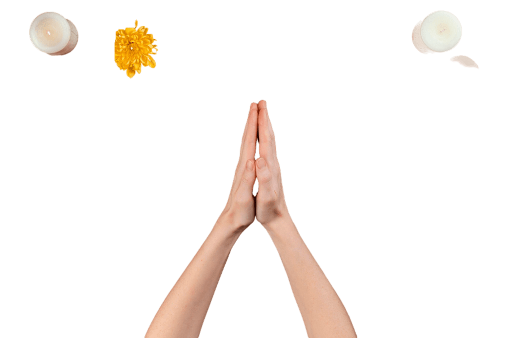 Astrologer in Mumbai for wellness solutions